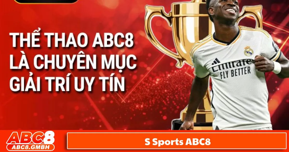 Những Điểm Nổi Bật Của S-Sports ABC8