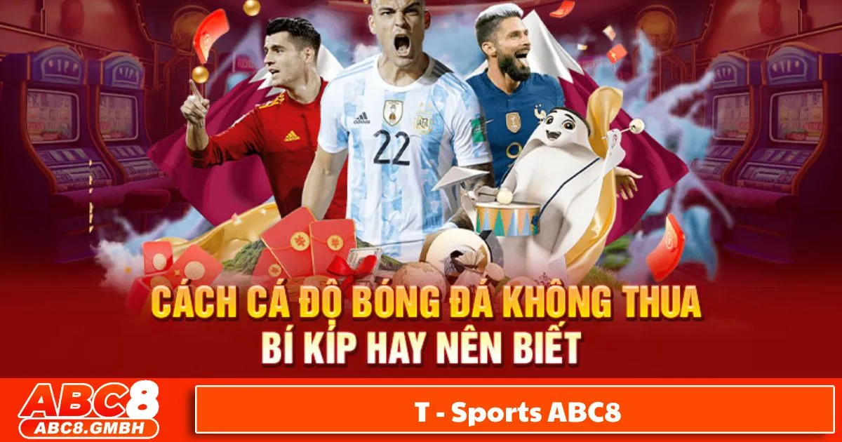 Tại Sao Nên Chọn T-Sports ABC8?