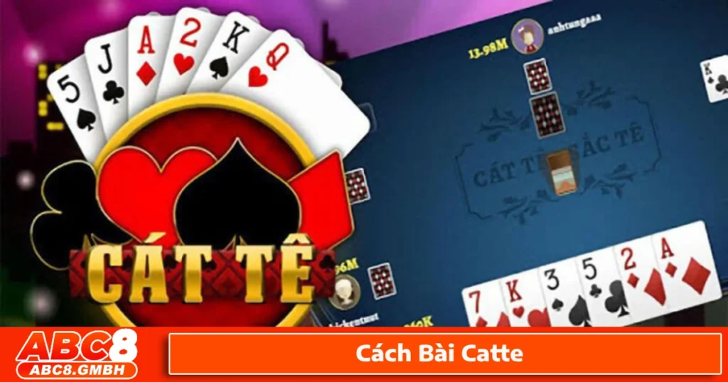 Cách bài Catte dành cho người mới bắt đầu